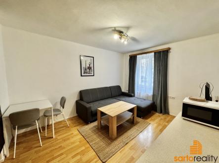 Pronájem bytu, 1+kk, 29 m²