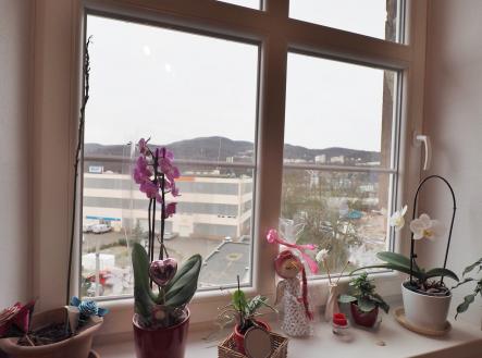 Pronájem bytu, 3+1, 74 m²