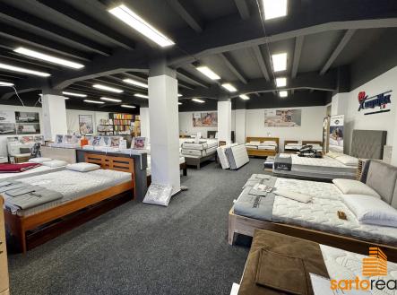 Pronájem obchodní prostor, 240 m²