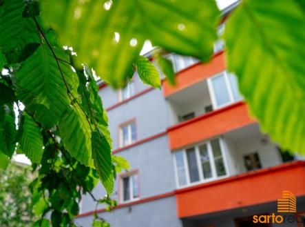 Pronájem bytu, 2+kk, 54 m²