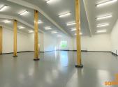 Pronájem obchodní prostory, 420 m²