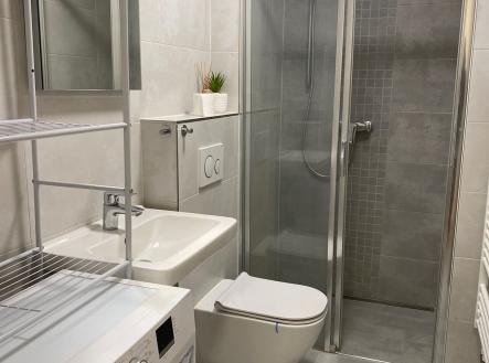 Pronájem bytu, 1+kk, 26 m²