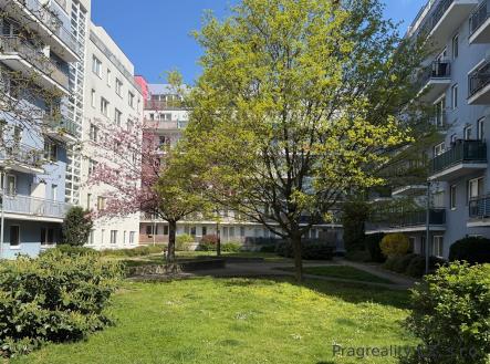 Pronájem bytu, 1+kk, 30 m²