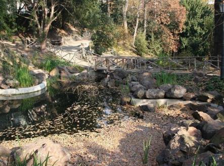 Pronájem bytu, 2+kk, 62 m²