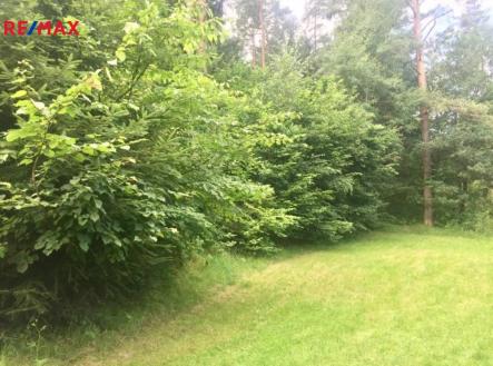 Prodej pozemku pro bydlení, 3 004 m²