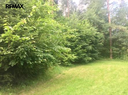 Prodej pozemku pro bydlení, 3 004 m²