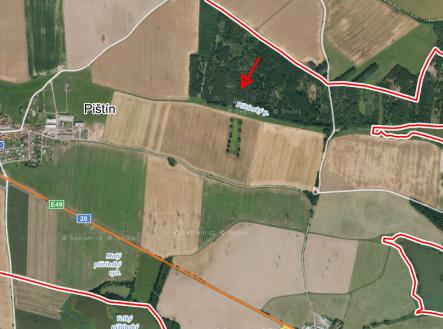 Prodej pozemku, les, 1 919 m²