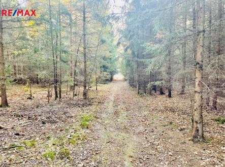 Prodej pozemku, les, 1 919 m²