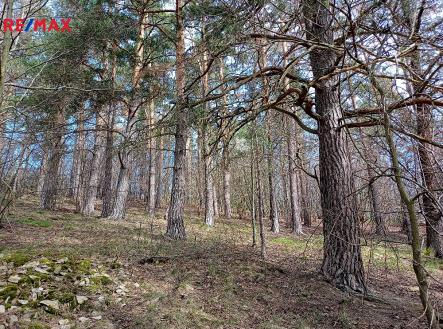 Prodej - pozemek, trvalý travní porost, 7 666 m²