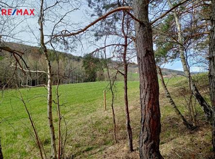 Prodej - pozemek, trvalý travní porost, 7 666 m²