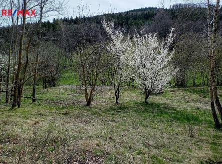 Prodej - pozemek, trvalý travní porost, 7 666 m²