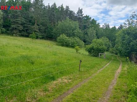 Prodej pozemku, trvalý travní porost, 7 666 m²