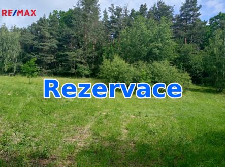 Prodej pozemku, trvalý travní porost, 7 666 m²