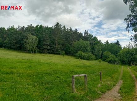 Prodej pozemku, trvalý travní porost, 7 666 m²