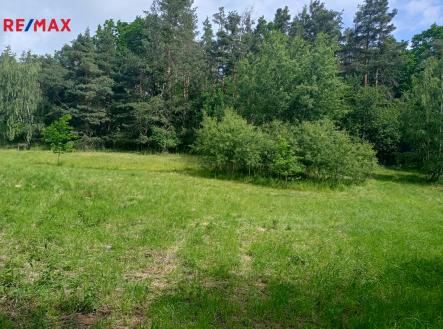 Prodej pozemku, trvalý travní porost, 7 666 m²