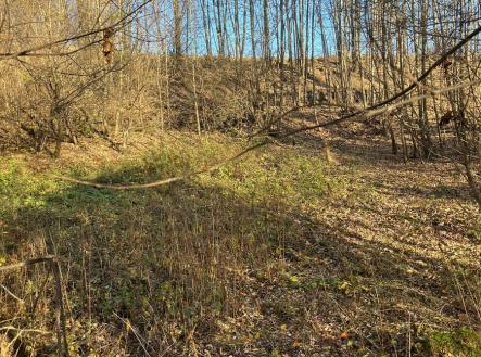 Prodej pozemku pro bydlení, 1 516 m²