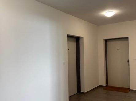 Pronájem bytu, 1+kk, 42 m²