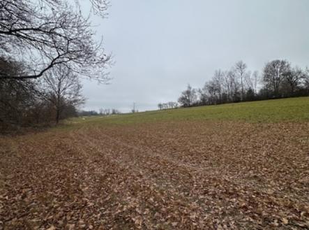 Prodej pozemku pro bydlení, 7 410 m²