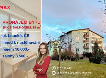Pronájem bytu, 1+kk, 34 m²
