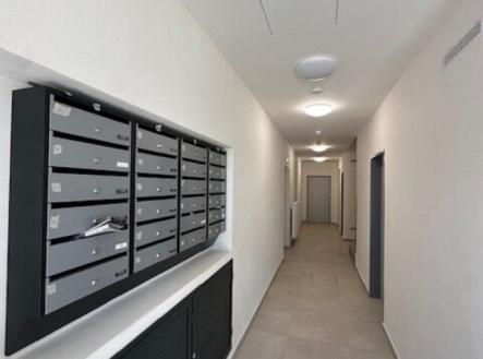 Pronájem bytu, 2+kk, 64 m²