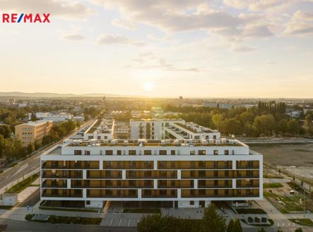 Prodej bytu, 1+kk, 55 m²