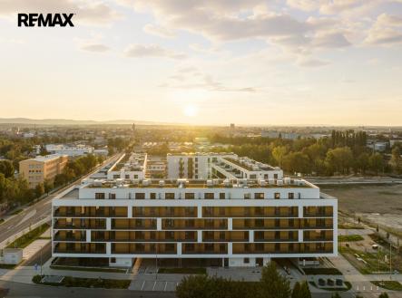 Prodej bytu, 1+kk, 55 m²