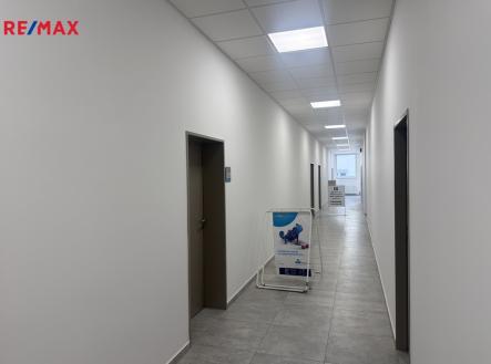 Pronájem kanceláře, 48 m²