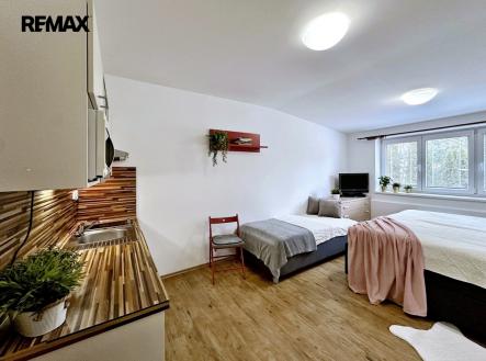 Prodej bytu, 1+kk, 26 m²