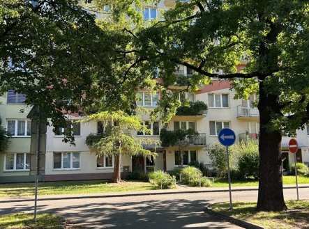 Prodej bytu, 1+kk, 20 m²