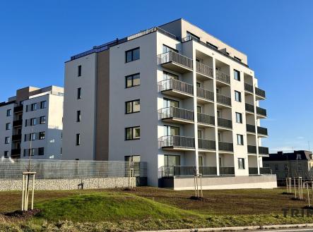 Prodej bytu, 2+kk, 55 m²