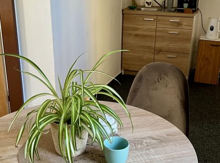 Pronájem kanceláře, 34 m²