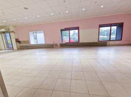 Pronájem obchodní prostor, 255 m²