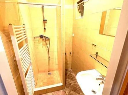 Pronájem bytu, 2+kk, 52 m²