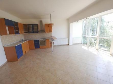 Pronájem bytu, 4+kk, 110 m²
