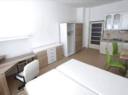 Pronájem bytu, garsoniéra, 31 m²
