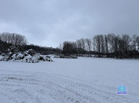 Prodej - pozemek, trvalý travní porost, 7 747 m²