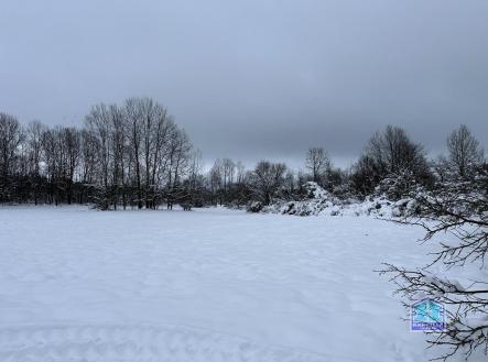 Prodej - pozemek, trvalý travní porost, 7 747 m²