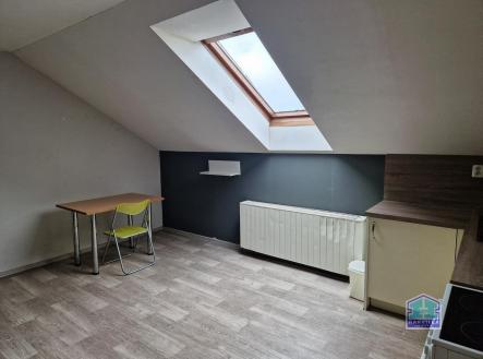 Pronájem bytu, 1+kk, 25 m²