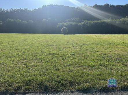 Prodej pozemku, trvalý travní porost, 2 000 m²