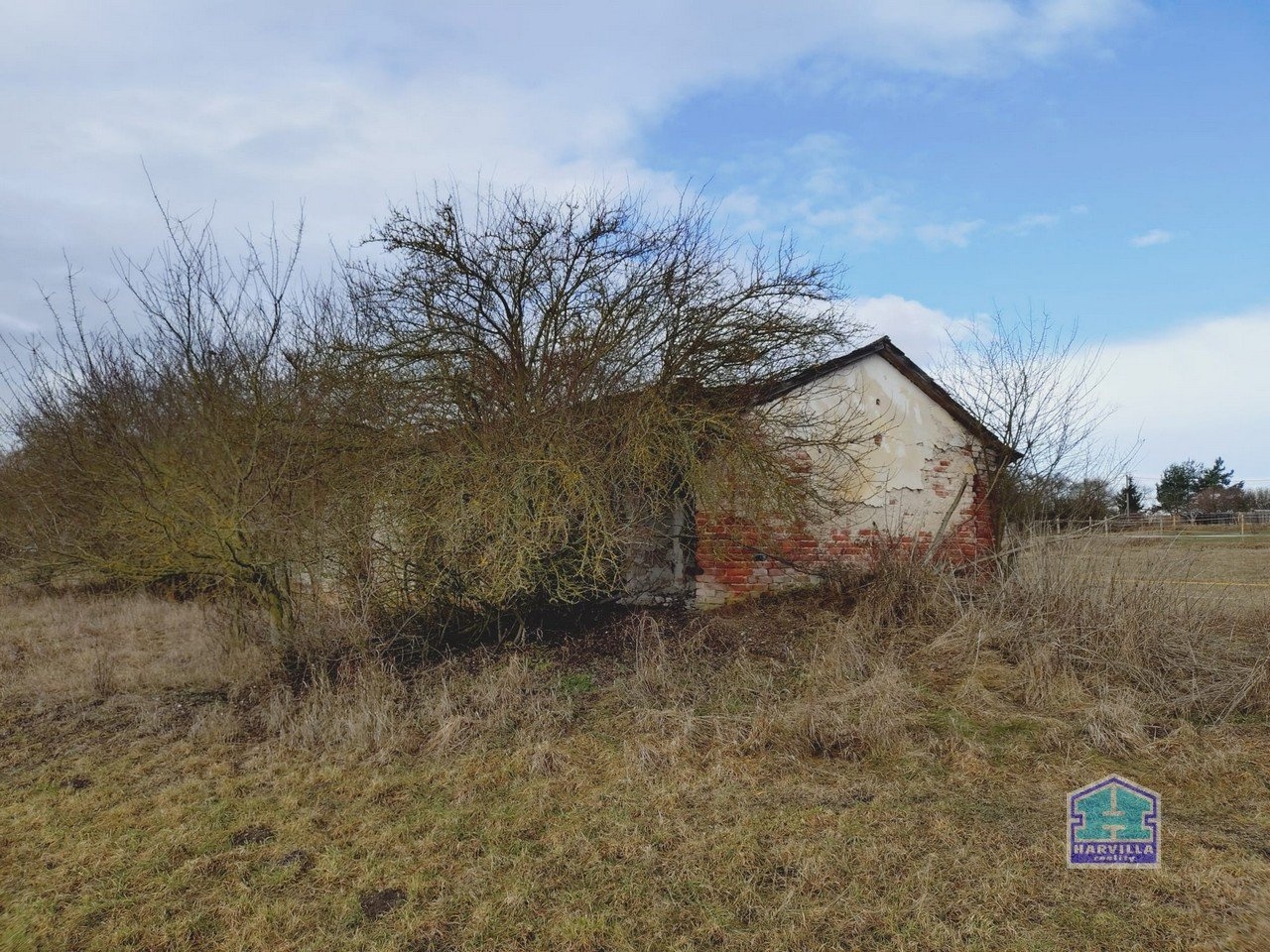 WhatsApp Image 2026-02-12 at 14.27.57