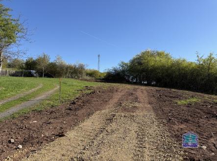 Prodej pozemku pro bydlení, 2 955 m²