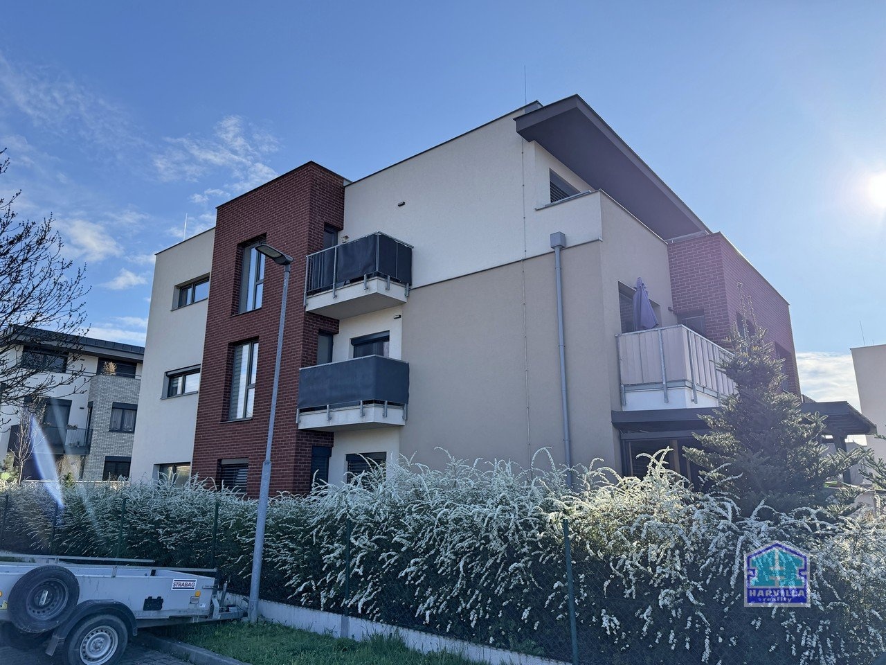 IMG_4145
