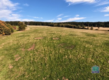 Prodej pozemku, trvalý travní porost, 410 390 m²