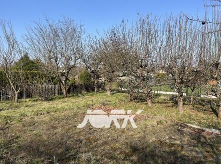 Prodej pozemku, zahrada, 319 m²