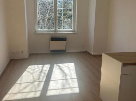 Pronájem bytu, 1+kk, 30 m²
