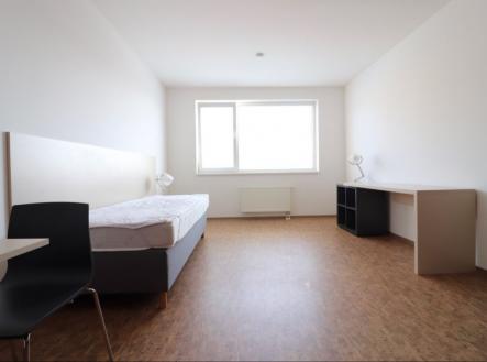 Pronájem bytu, 1+kk, 33 m²