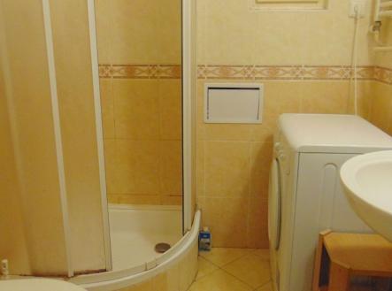 Pronájem bytu, 1+kk, 28 m²