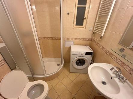 Pronájem bytu, 1+kk, 28 m²