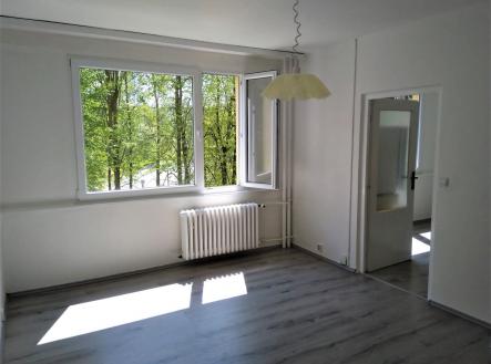 Pronájem bytu, 2+kk, 47 m² obrázek