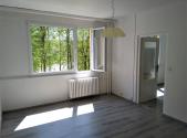 Pronájem bytu, 2+kk, 47 m²
